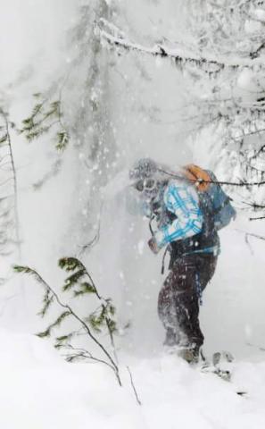 Backcountry Powder